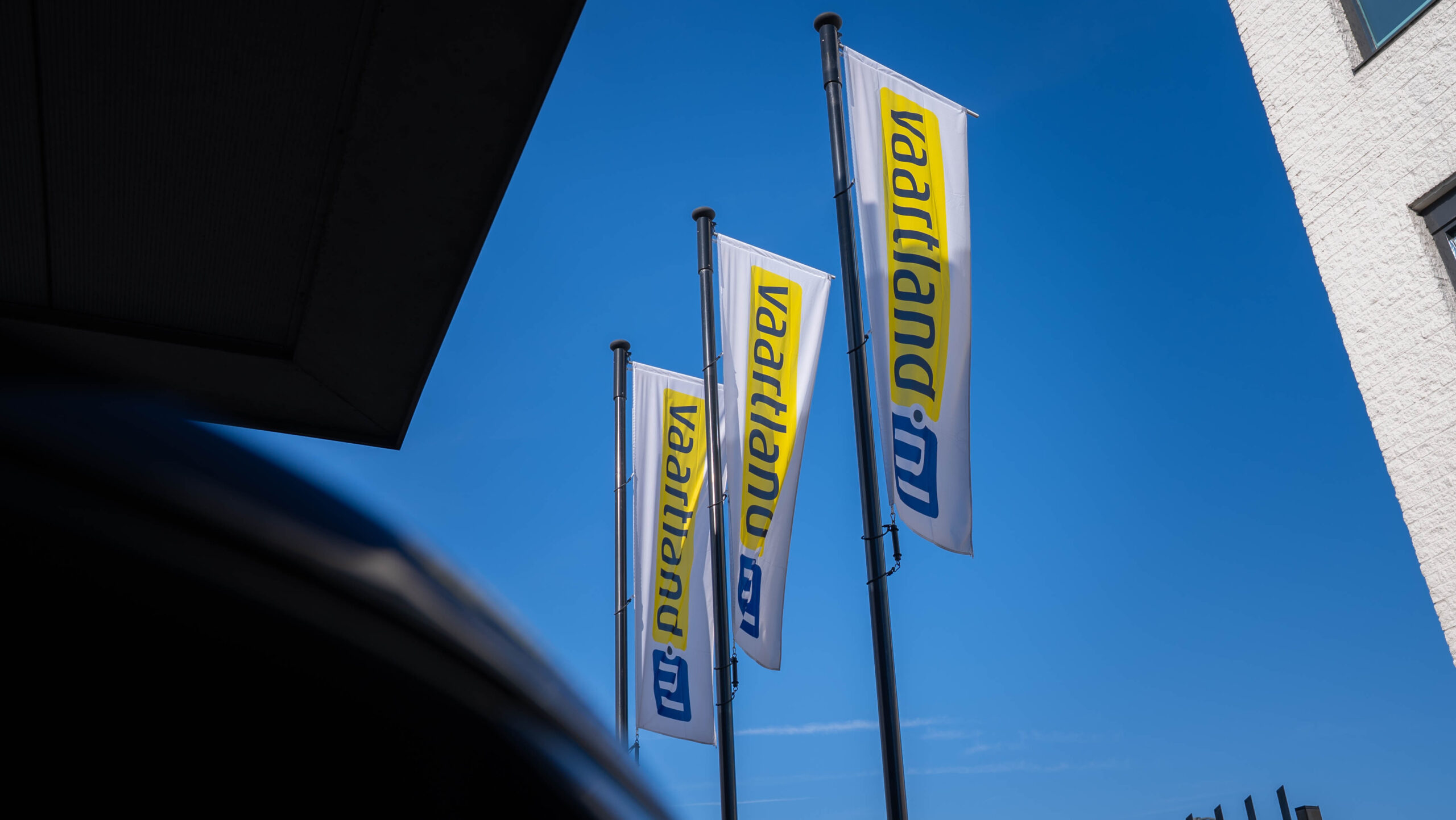 Afbeelding 5